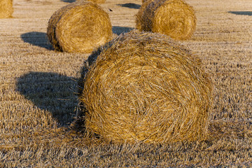 Stack of straw  