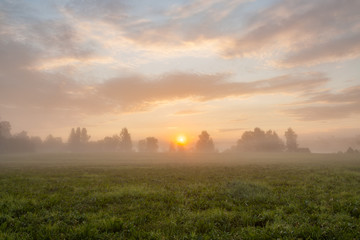 Naklejka na ściany i meble Tranquil foggy grassland at sunrise