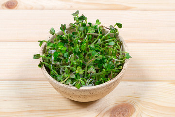 Fresh radish sprouts on a wooden background.