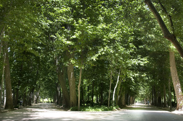 Jardines de Aranjuez