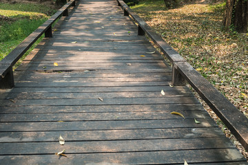 old wooden walkway with falling leaves in the morning of autumn