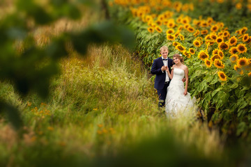 Bride and groom on the field in sunflowers