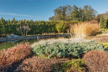 Фрагмент озера в парке © ais60