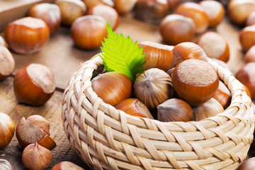 Hazelnuts