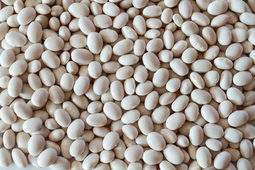 beans white haricot