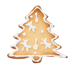 portrait of a cookie shaped Christmas tree