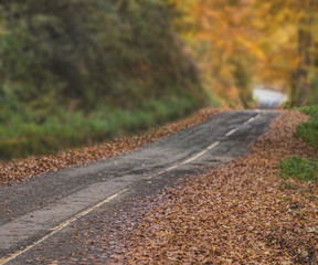 Autumn in the mountain