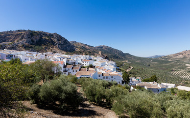 Fototapeta na wymiar Olive trees surround hilltown of Zuheros in Andalucia
