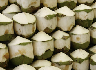 Row green coconuts with juice inside