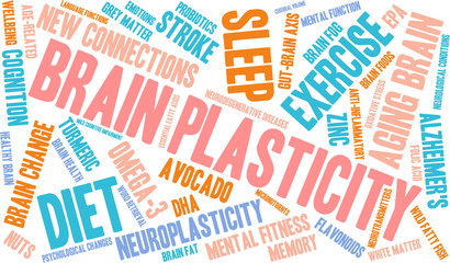 Obraz premium Brain Plasticity Word Cloud