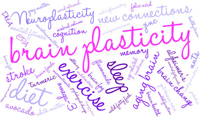 Brain Plasticity Word Cloud