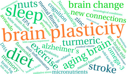 Fototapeta premium Brain Plasticity Word Cloud