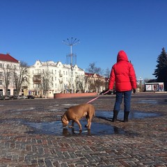 woman and her dog on a walk