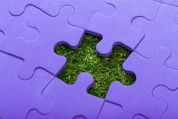 business concept for completing the final puzzle piece