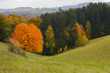 Hankehügel Gossdorf