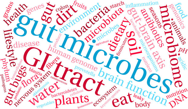 Gut Microbes Word Cloud