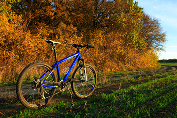 Fototapeta premium Beautiful close up scene of bicycle at sunset,