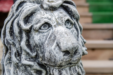 Naklejka premium Lion Head