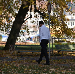 Fototapeta premium jardin public