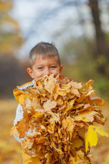 Adorable boy in autumn park