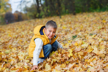 Adorable boy in autumn park