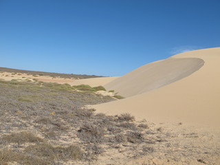 Gnaraloo Station, Western Australia