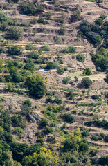 Bayarcal faming in terraces in Spain