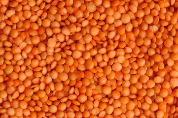 Whole raw red lentils pattern