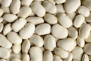 White navy beans pattern
