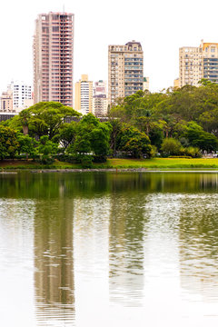 Ibirapuera Park In Sao Paulo