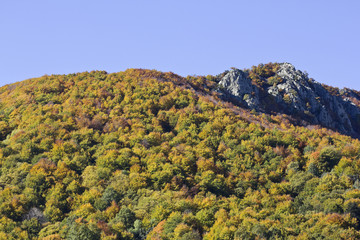 Montseny Natural Park