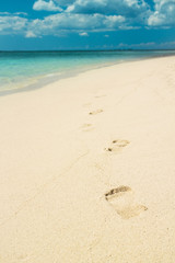 Foot prints on a sandy beach with selective focus