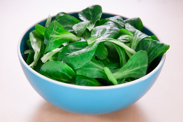 Corn salad / lamb's lettuce in blue ceramic bowl