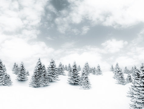 Winter landscape snow covered pine trees © Jezper