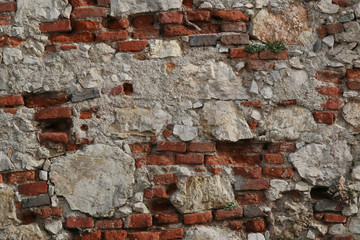 Alte Ziegelmauer für kreative Projekte