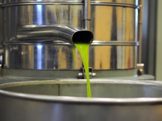 olio nuovo sx