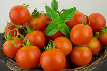 photo of very fresh tomatoes presented on white background