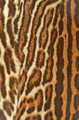Foto auf Acrylglas Leopardenfell Textur © nico99
