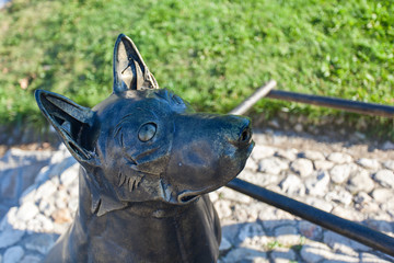 Собака у Памятника водовозу, Коломна, Россия
