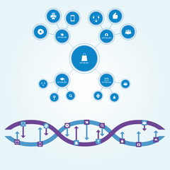 Flowchart scheme of circles of different sizes connected by straight lines in flat style. Interaction is depicted as chain of DNA. Infographics.
