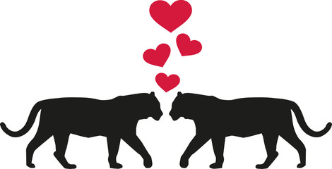 Obraz premium Tiger in love with hearts