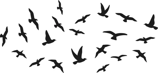 Fotobehang Flock of flying birds © Miceking
