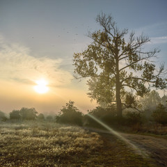 Obraz na płótnie Canvas fog near lake