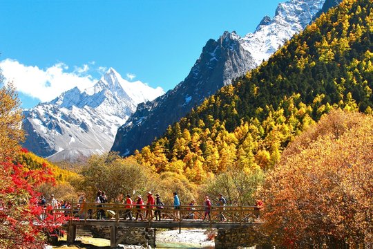 The Autumn at Yading Nature Reserve in Daocheng County ,China