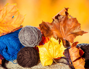 colorful clews with faded leafs