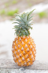 Ripe pineapple ,fruit