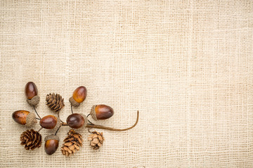 rustic grained wood with fall decoration