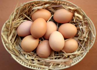 Healthy organic egg in one basket raw material