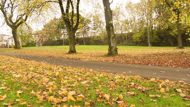 Autumn in the park, Coatbridge, Scotland
