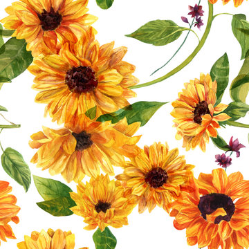Seamless watercolour sunflowers pattern on white background